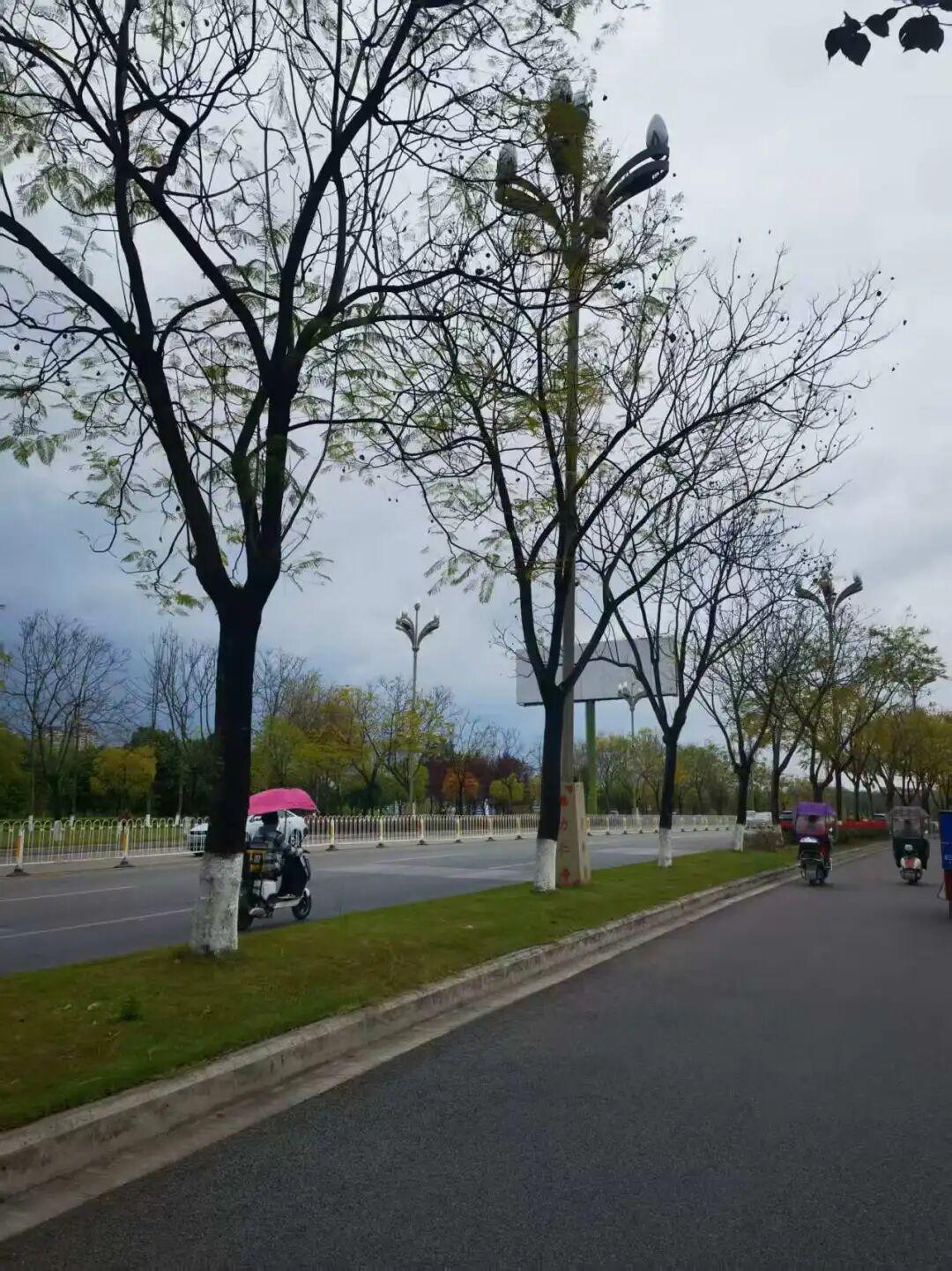 为什么有2万人来仁寿跑马拉松？