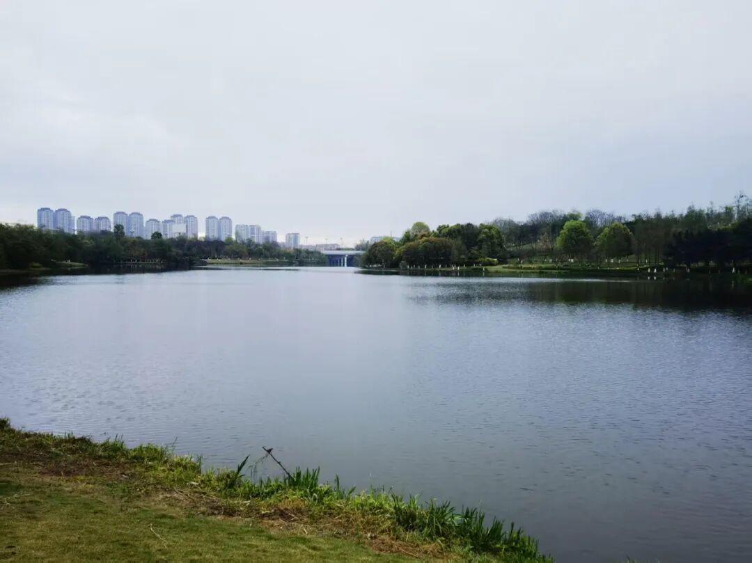 为什么有2万人来仁寿跑马拉松？