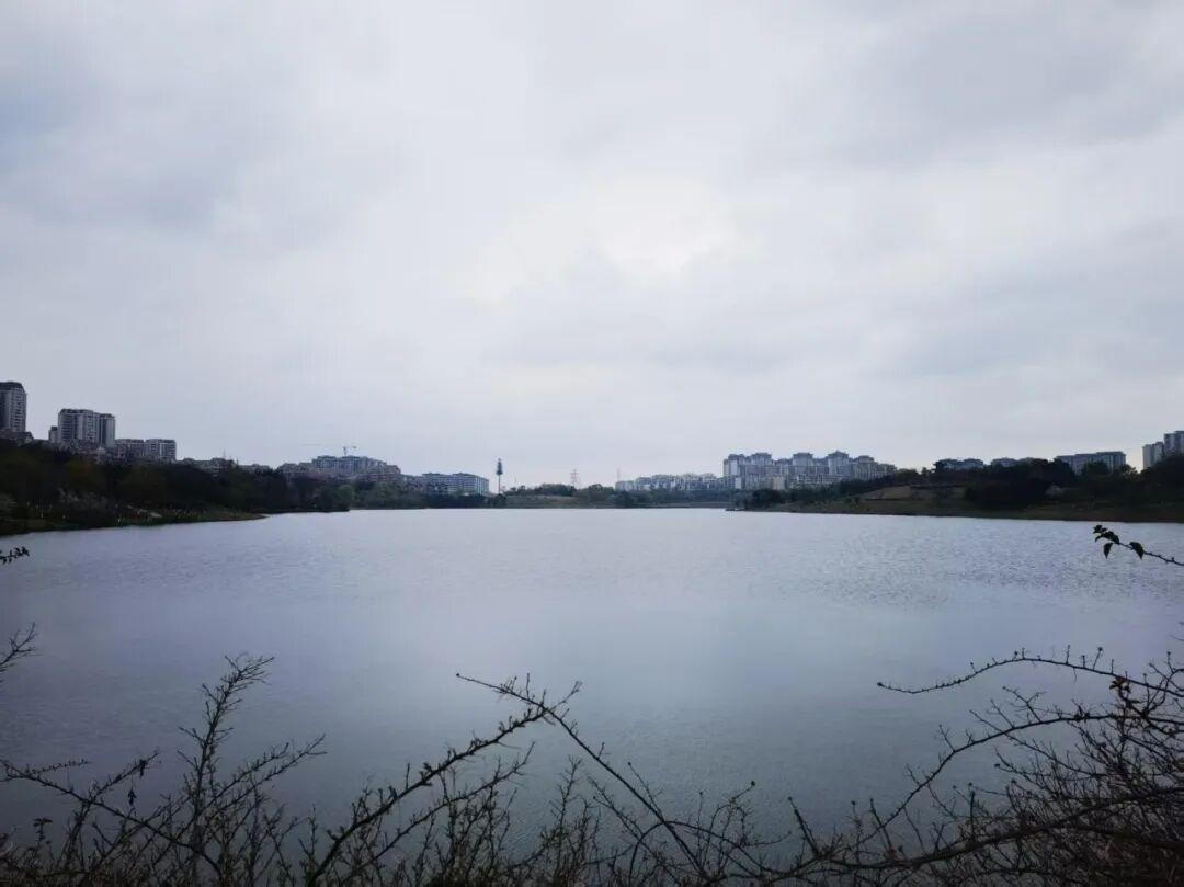 为什么有2万人来仁寿跑马拉松？