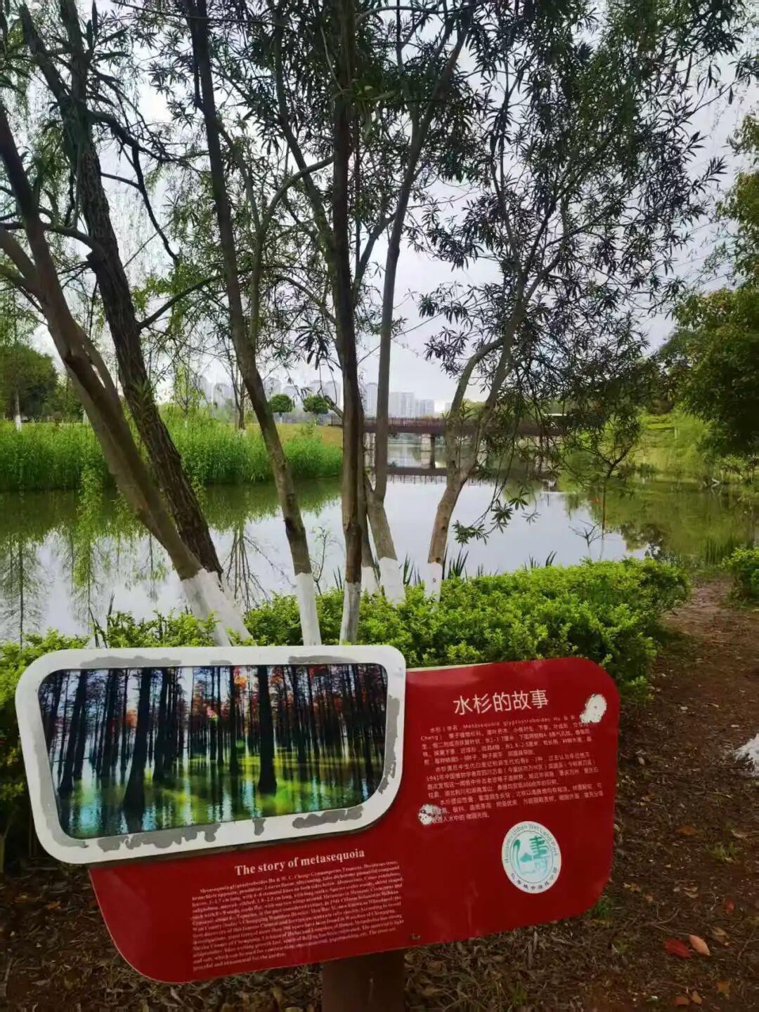 为什么有2万人来仁寿跑马拉松？